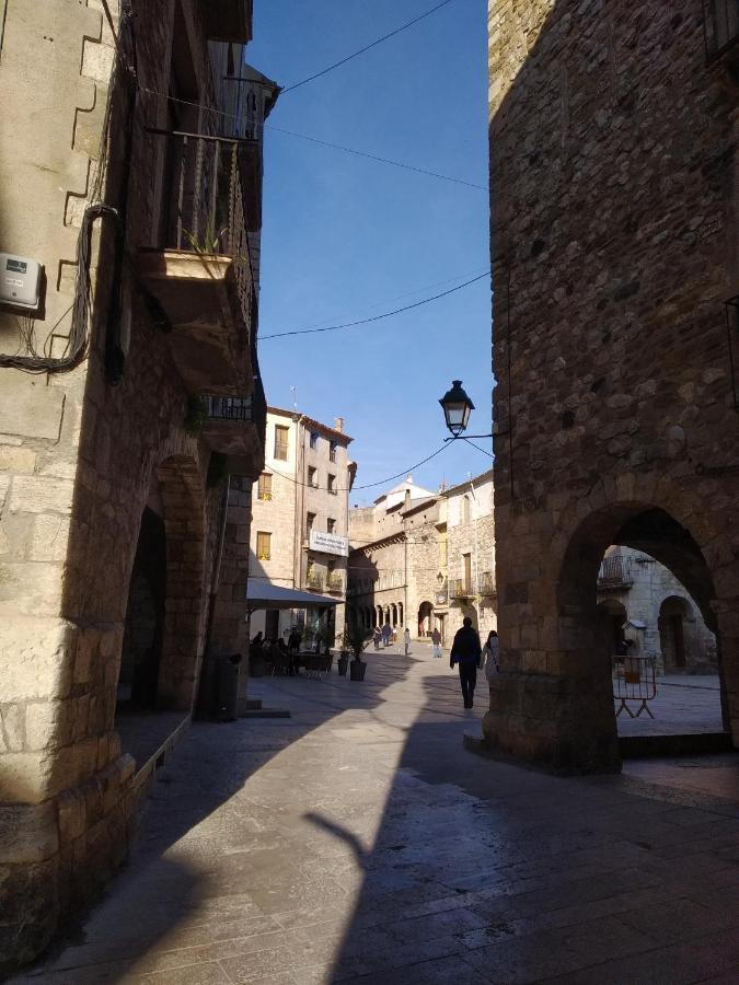 Apartament Can Mingu 2On Pis Besalu Exterior photo