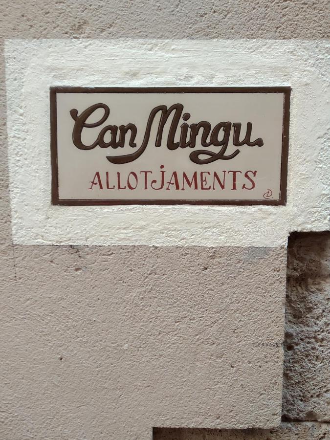 Apartament Can Mingu 2On Pis Besalu Exterior photo
